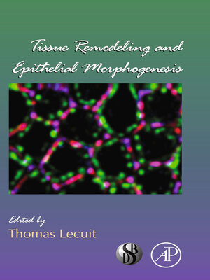 cover image of Tissue Remodeling and Epithelial Morphogenesis